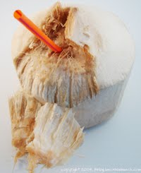 fresh-young-coconut-water