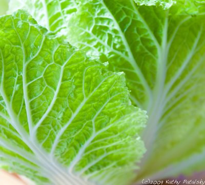 napa_cabbage