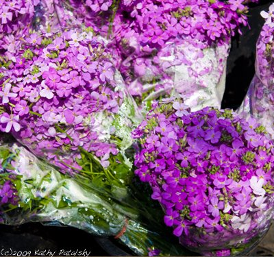 greenmarket_purple_flowers