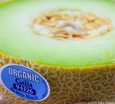 organic_galia_melon