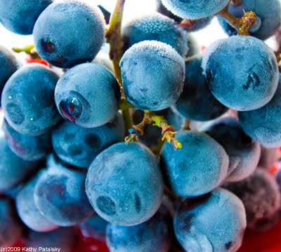 frozen-grapes