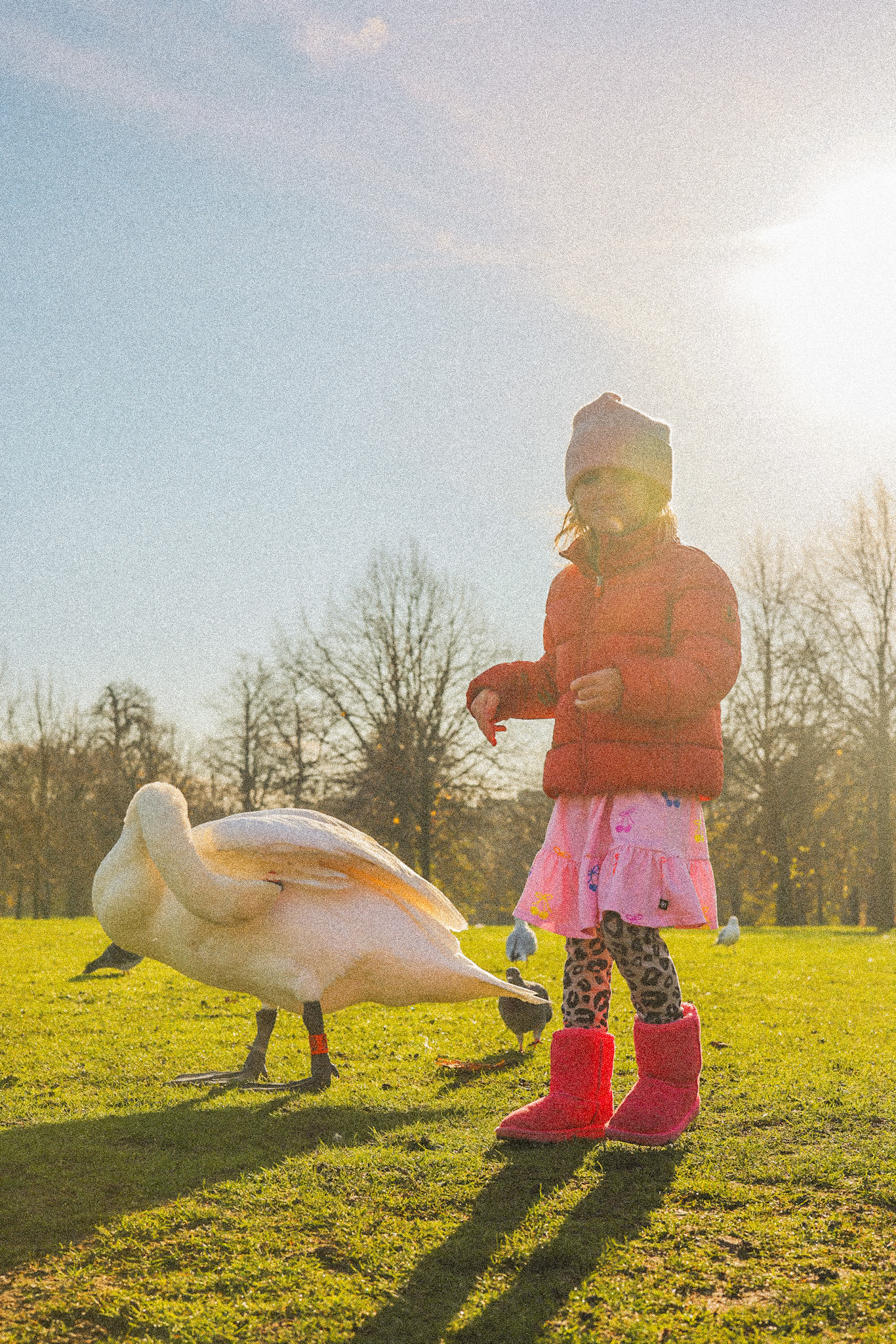 swans and kid Hyde Park