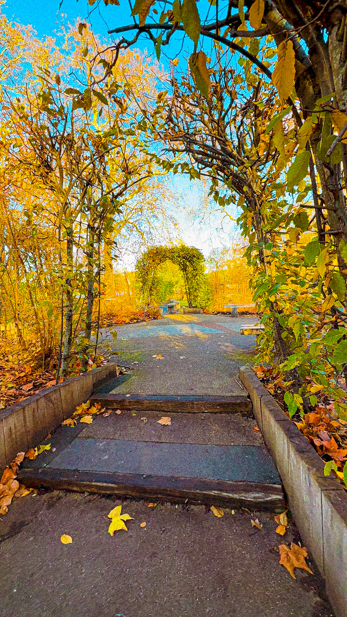 Hyde Park playground London pretty fall leaves
